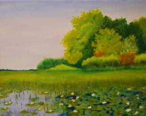 Greenbelt's Lily Pond 2